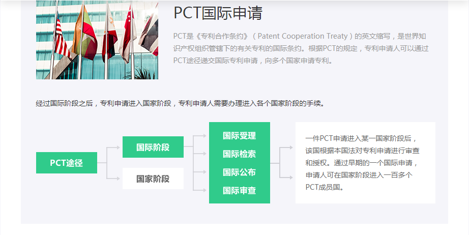 PCT国际-基本信息1